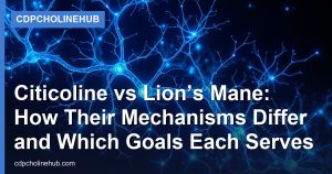 Citicoline vs Lion’s Mane: How Their Mechanisms Differ and Which Goals Each Serves