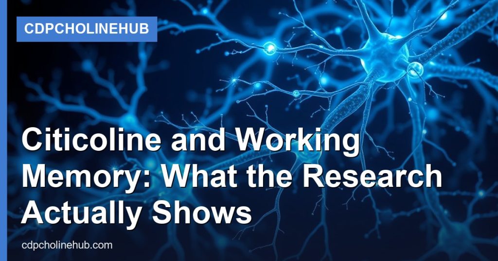 Citicoline and Working Memory: What the Research Actually Shows - CDPCholineHub