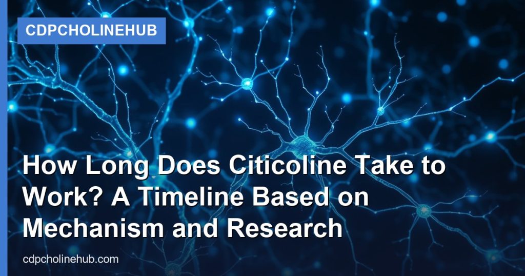 How Long Does Citicoline Take to Work? A Timeline Based on Mechanism and Research - CDPCholineHub