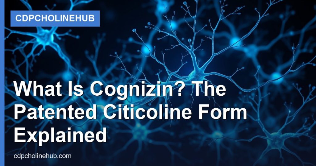 What Is Cognizin? The Patented Citicoline Form Explained - CDPCholineHub