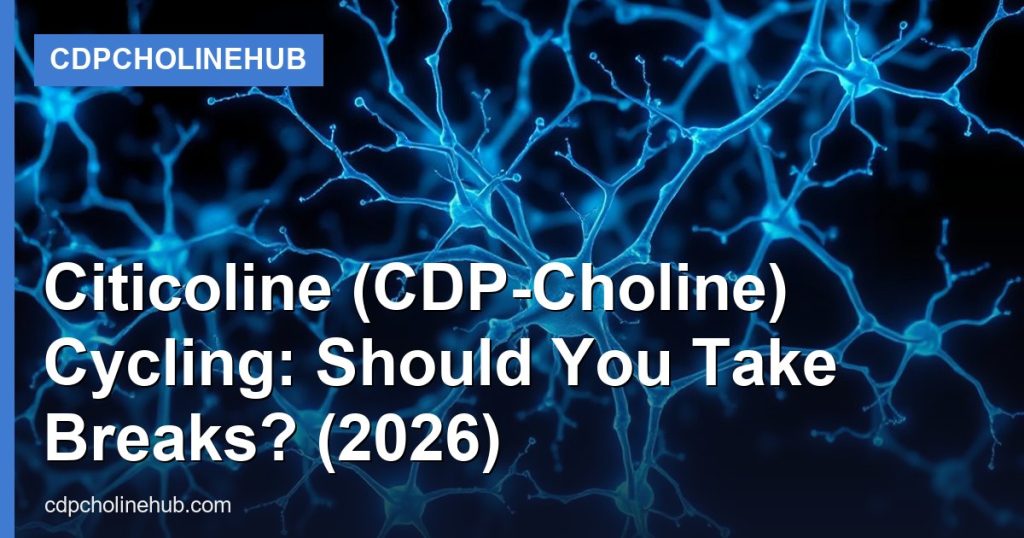 Citicoline (CDP-Choline) Cycling: Should You Take Breaks? (2026) - CDPCholineHub