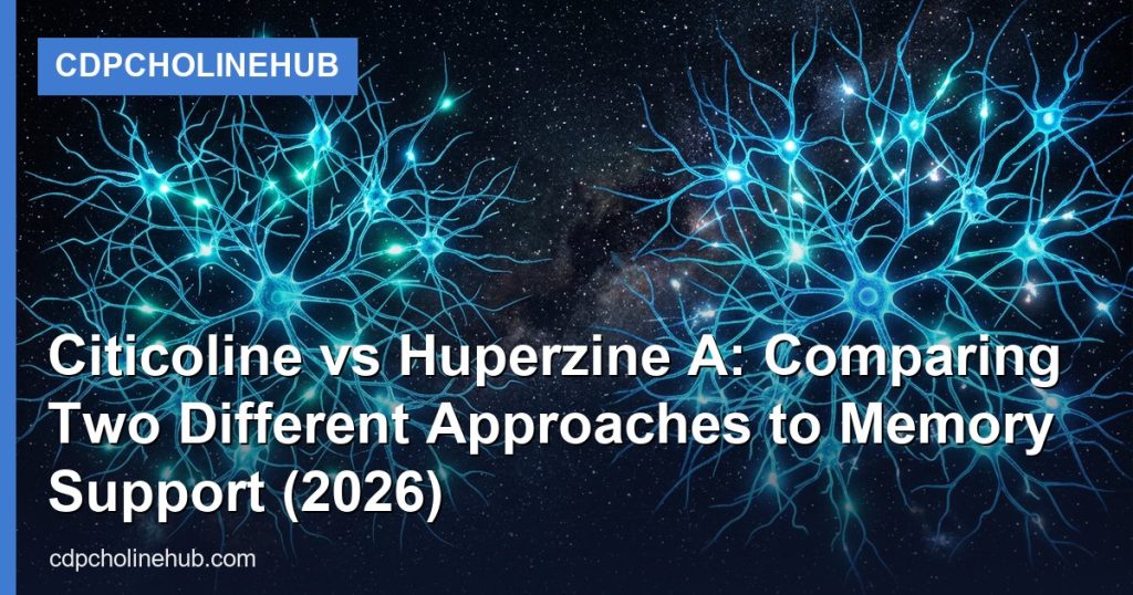 Citicoline vs Huperzine A: Comparing Two Different Approaches to Memory Support (2026) - CDPCholineHub